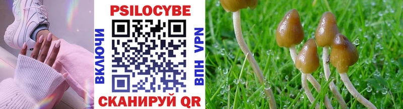 Галлюциногенные грибы Psilocybine cubensis  Урюпинск 
